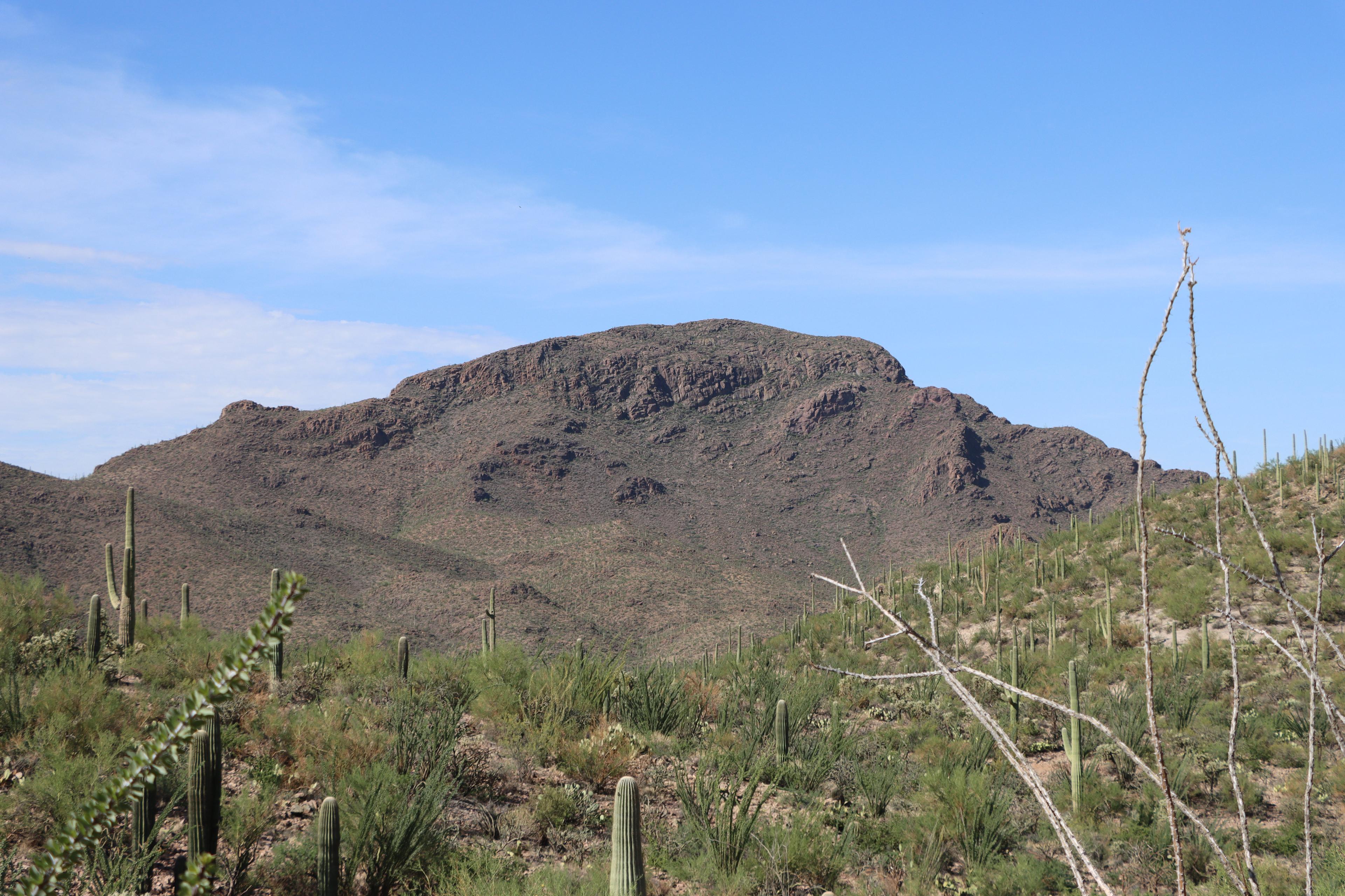 Tucson